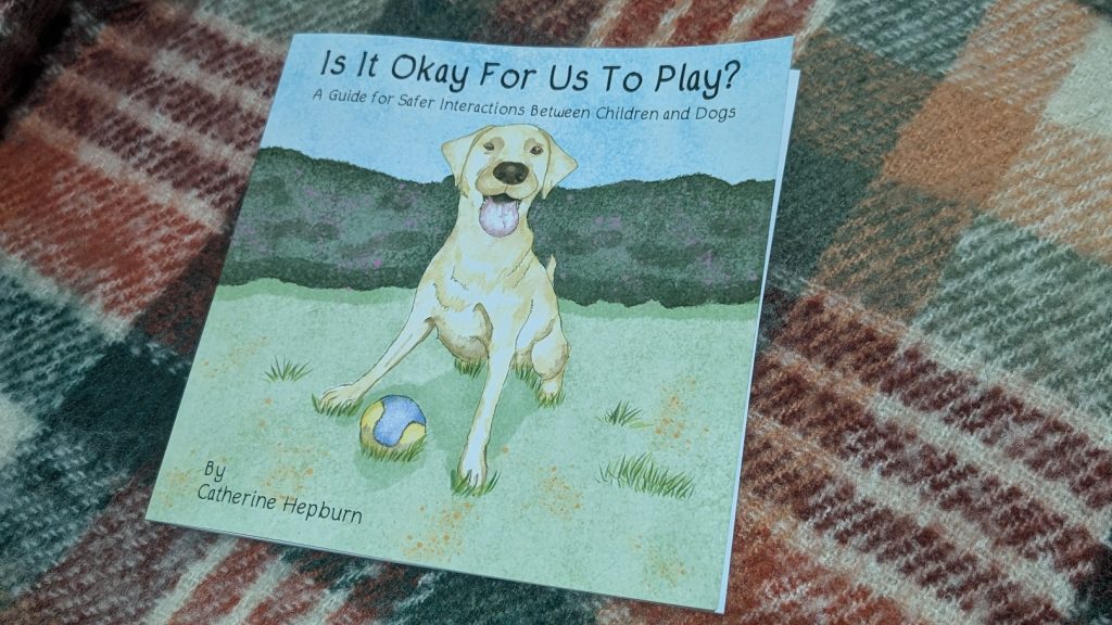 Is It Okay For Us To Play? book on blanket