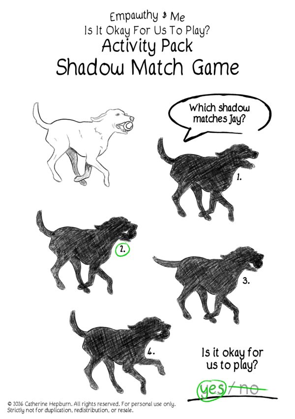 Shadow Match Answer