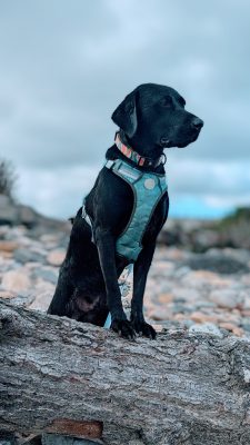 PXL_20240927_143138556.MP~2