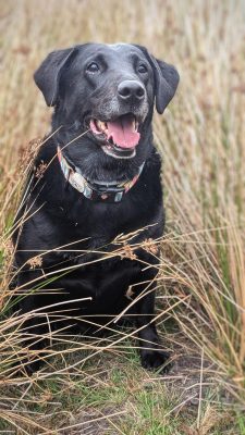 PXL_20250827_132146008.PORTRAIT~2